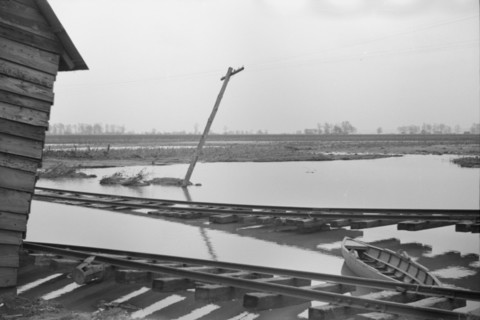 [Untitled photo, possibly related to: Farmyard covered with flood waters near Ridgeley, Tennessee].