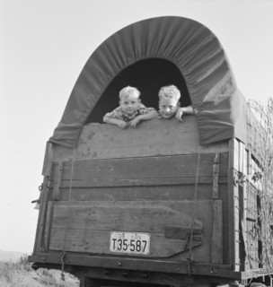 Just arrived from Kansas. On highway going to potato harvest. Near Merrill, Klamath County, Oregon.