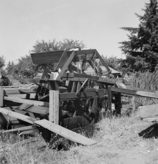 Oregon, Marion County, north of West Stayton. Waterwheel for field irrigation in the bean country.