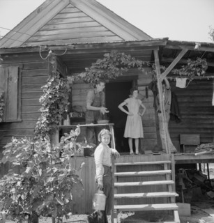 Hop farmer's children, small owner, and backyard of house. Oregon, Polk County, near Independence.