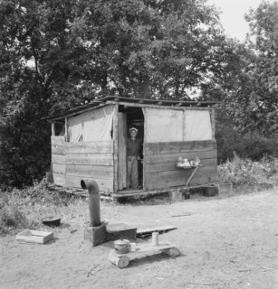 Oregon, Josephine County, near Grants Pass. A row of shelters like this for hop pickers' families.