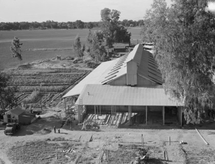 Tulare County. Mineral King Farm Cooperative Association. New barn under construction. California.