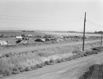 Camp of migrant potato pickers seen from potato shed across the road. Siskiyou County, California.