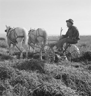 Mr. Roberts, FSA (Farm Security Administration) borrower. Owyhee project. Malheur County, Oregon.
