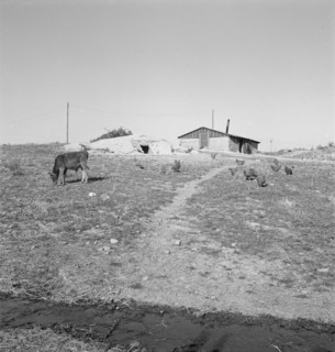 Abode [adobe?] basement dugout house on Roberts' farm. Willow Creek area. Malheur County, Oregon.