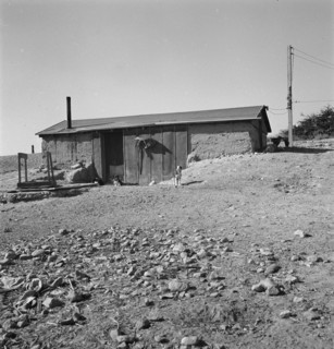 Abode [adobe?] basement dugout house on Roberts' farm. Willow Creek area. Malheur County, Oregon.