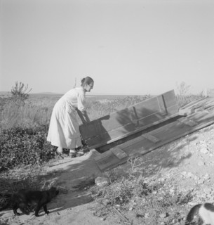 Mrs. Hull closing up the cellar which she has well-filled. Dead Ox Flat, Malheur County, Oregon.