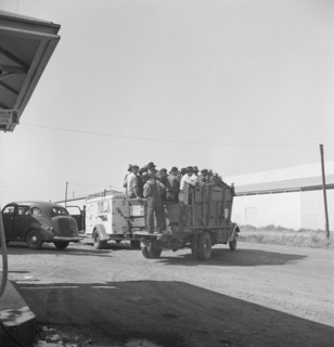 Labor contractor's truck with gang of pea pickers, pulled up for gas. Near Westley, California.