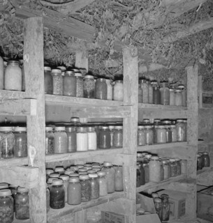 Mrs. Wardlow has 500 quarts of food in her dugout cellar. Dead Ox Flat, Malheur County, Oregon.