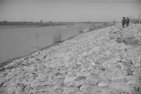 The Bessie Levee augmented with sand bags during the 1937 flood. Near Tiptonville, Tennessee.