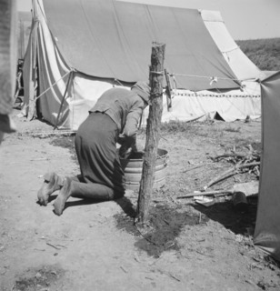 A grandmother washing clothes in California. In a contractor's camp near Westley, California.