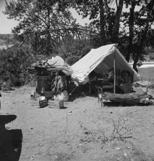 Camp of migratory family originally from Texas in "Ramblers Park." Yakima Valley, Washington.