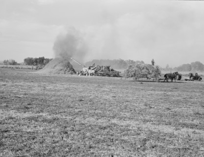 Threshing red clover for seed on older settler's ranch. Near Ontario, Malheur County, Oregon.