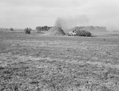 Threshing red clover for seed on older settler's ranch. Near Ontario, Malheur County, Oregon.
