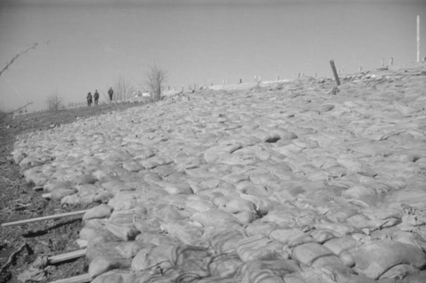 The Bessie Levee augmented with sand bags during the 1937 flood near Tiptonville, Tennessee.
