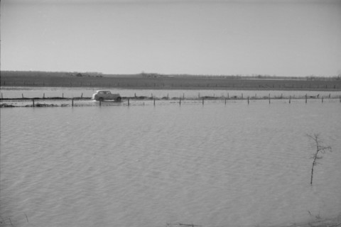 The Bessie Levee augmented with sand bags during the 1937 flood near Tiptonville, Tennessee.