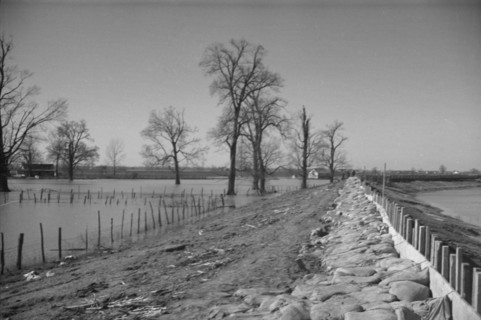 The Bessie Levee augmented with sand bags during the 1937 flood near Tiptonville, Tennessee.