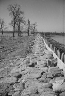 The Bessie Levee augmented with sand bags during the 1937 flood near Tiptonville, Tennessee.