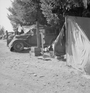 Oregon, Marion County, near West Stayton. Another migratory family camp during bean harvest.