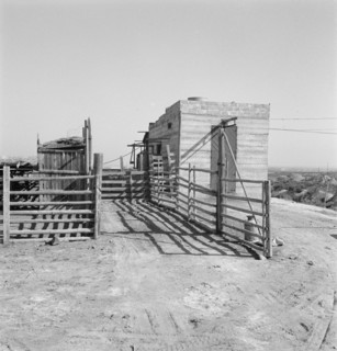Country slaughterhouse for use of farmers. One mile north of Nyssa, Malheur County, Oregon.