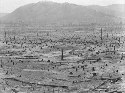 Priest River Valley, where many settlers grow hay between the stumps. Bonner County, Idaho.