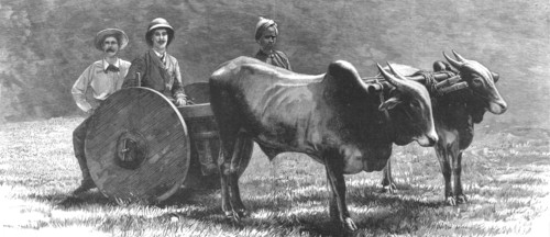 ''Prince Albert Victor with the "Elephant King" in a Jungle Waggon in Mysore, India', 1890.