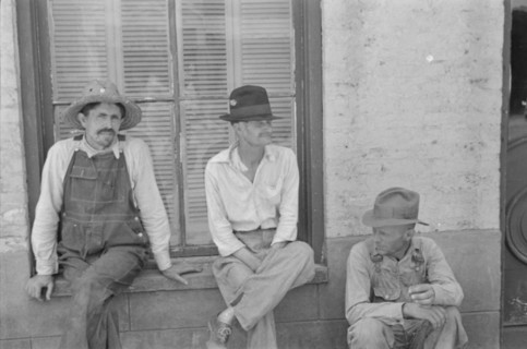 Frank Tengle, Bud Fields, and Floyd Burroughs, cotton sharecroppers, Hale County, Alabama.