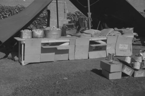 [Untitled photo, possibly related to: Flood refugee encampment at Forrest City, Arkansas].