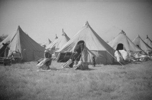 [Untitled photo, possibly related to: Flood refugee encampment at Forrest City, Arkansas].