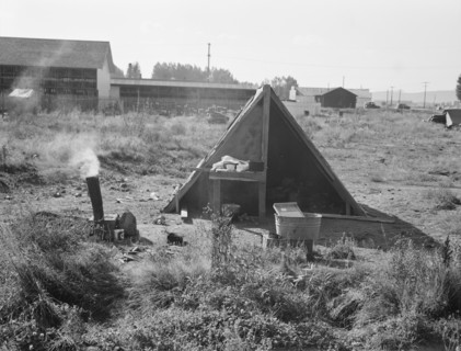 One of the forty potato camps in open field, entering town. Malin, Klamath County, Oregon.