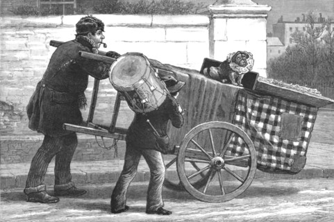 ''An Insult to the Profession; The renewal of the Muzzling Order--Dog Toby Muzzled', 1890.