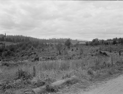 Western Washington, Thurston County, Michigan Hill. Another stump farm near Arnold place.