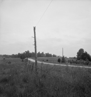 Route 501. One mile north of Bethel Hill High School, Person County. Map code: Person 17.