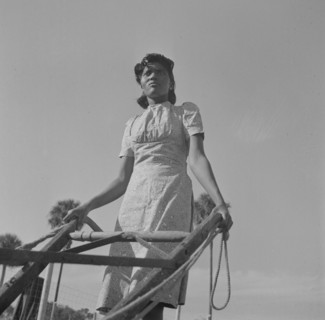 Daytona Beach, Florida. Bethune-Cookman College. Student on the agricultural school farm.