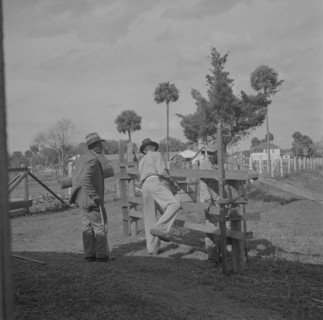 Daytona Beach, Florida. Bethune-Cookman College. Assistants in agriculture going to work.