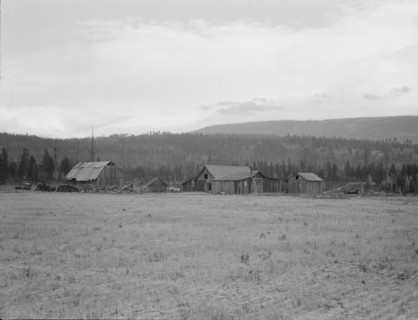 Partially-developed stump ranch seen across cleared grain field. Boundary County, Idaho.