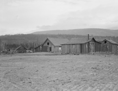 Partly-developed stump ranch seen across cleared grain field. Boundary County, Idaho.