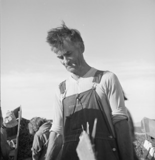 Straw boss of pea packers in the field near Calipatria, Imperial Valley, California.