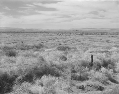 Washington, Grant County, north of Quincy. Abandoned farmland in the Columbia Basin.