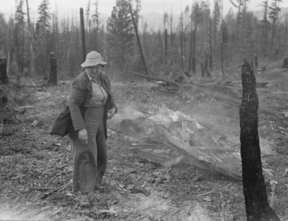 Family work clearing land by burning. Near Bonners Ferry, Boundary County, Idaho.