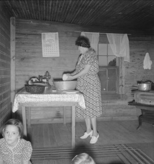 Wife of tobacco sharecropper in kitchen of home. Person County, North Carolina.