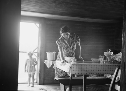 Wife of tobacco sharecropper in kitchen of home. Person County, North Carolina.