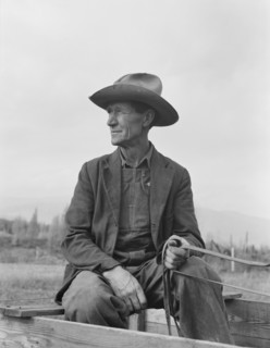 Ex-Nebraska farmer now developing farm out of the stumps. Bonner County, Idaho.