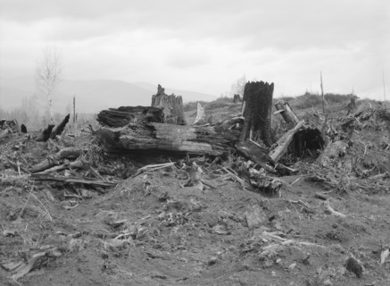 New settlers shack at foot of hills on poor sandy soil. Boundary County, Idaho.