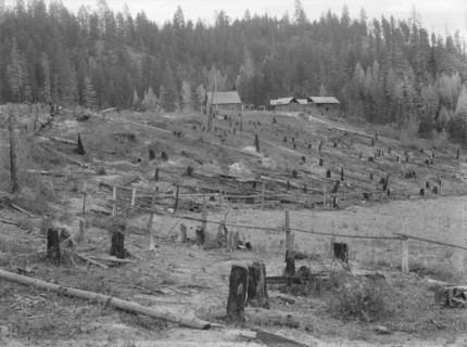 New settlers shack at foot of hills on poor sandy soil. Boundary County, Idaho.