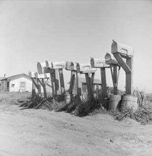 Mail boxes of lettuce workers. Settlement on outskirts of Salinas, California.