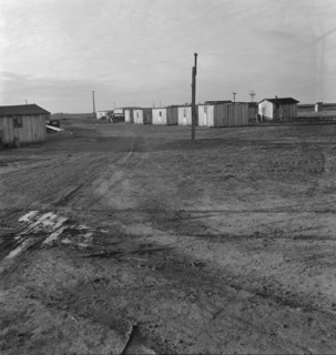 Newly-built cabins, rent five dollars per month. California. Near Bakersfield.