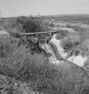Irrigation ditch, showing drop in canal. Dead Ox Flat, Malheur County, Oregon.