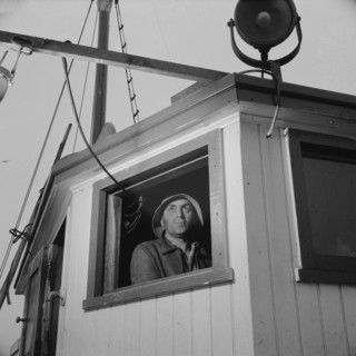 Gloucester, Massachusetts. Lorenzo Scola maneuvers ship during mackerel chase.