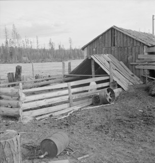 Farm buildings, slab construction, on new stump farm. Boundary County, Idaho.